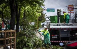 Poda de árvore na Avenida Fernandes Lima. | Foto: Alisson Frazão/Secom Maceió