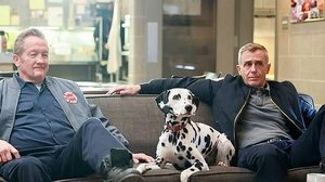 Atores de "Chicago Fire" posam com cadelinha Tuesday, que morreu | Reprodução/@whatadogtuesday