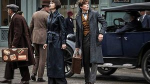 Animais Fantásticos: Os Crimes de Grindelwald | Warner/Divulgação