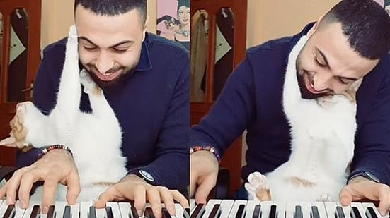 Imagem Encantador de gatos toca piano e se livra da depressão; veja vídeos