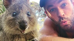 Reprodução / Instagram chrishemsworth