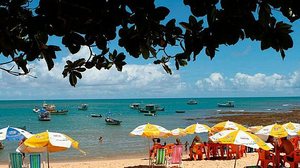 Praia do Forte é uma das atingidas por óleo que afeta litoral do Nordeste | Tatiana Azeviche/Setur Bahia