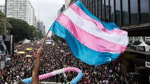 Bandeira do orgulho trans | Foto: Diego Padgurschi/Folhapress