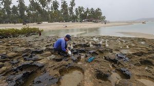 Retirada de óleo que atingiu a praia de Carneiros (PE) | Agência Pixel Press/Folhapress