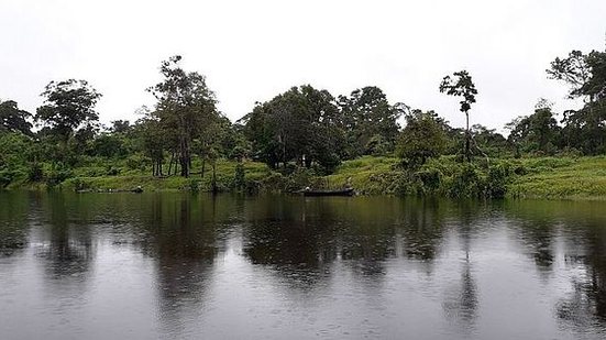 Márcio Amaral/Instituto Mamirauá