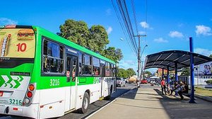 Imagem Lei que proibia adesivo em vidro de ônibus em Maceió é inconstitucional, decide TJ