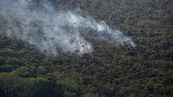 Foto: Reprodução/Amazônia Extrema