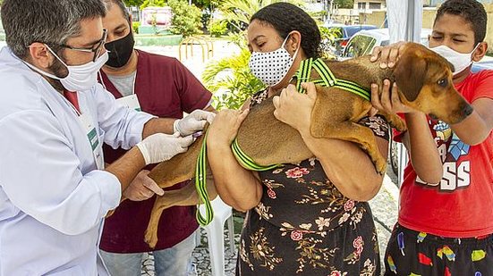 Imagem Programa de Acolhimento de Animais vacina 150 cães em Bebedouro