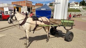 Imagem E+ Geladeira nova: 280 alagoanos são contemplados em campanha da Equatorial