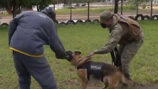 Reprodução / TV Pajuçara