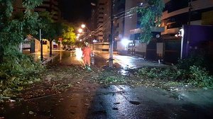 Bombeiros retiram árvore que caiu na Avenida Deputado José Lages | Divulgação / CBM