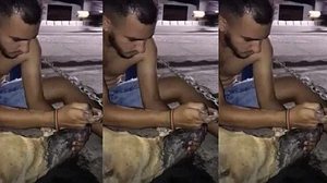 Homem salva cachorra de envenenamento | Foto: Reprodução Instagram