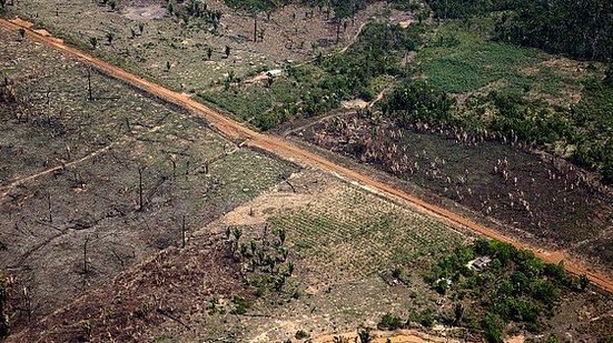 ©Greenpeace/Marizilda Cruppe