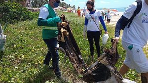 Vários materiais inservíveis foram retirados da Praia de Guaxuma neste sábado | Ascom Sudes