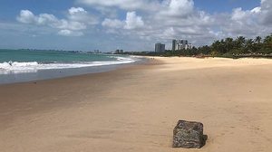 Pilha encontrada na praia de Guaxuma | Biota