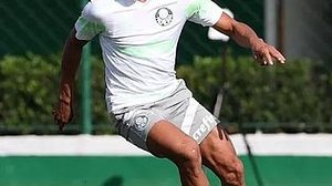 Cesar Greco / Palmeiras