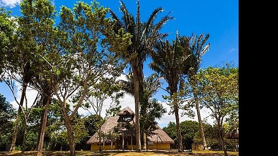 Serra da Barriga, em União dos Palmares | Reprodução