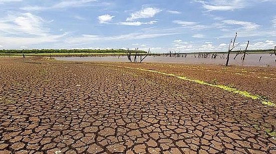 Seca levou Ministério a reconhecer situação de emergência em quase 40 cidades alagoanas | Arquivo