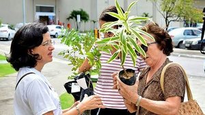 Secom Maceió - Sudes