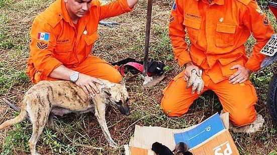 Os bombeiros envolvidos no resgate são os cabos Medeiros e F. Cardozo | Cortesia / CBMAL