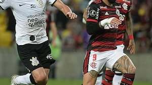 Alexandre Vidal/Flamengo