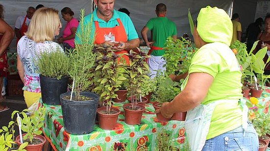 Feira acontece neste domingo na orla de Maceió | Semarh