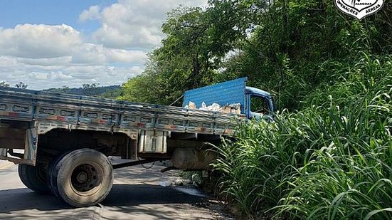 Caminhão teria perdido o freio e colidiu em barranco, na ladeira da Usina Caetés | Foto: Grupamento Aéreo