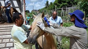 Técnicos da Unidade de Vigilância de Zoonoses em serviço de campo | Foto: Ascom SMS