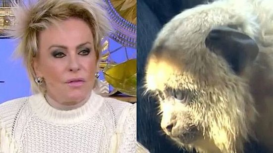 Imagem Macaco é exibido após discurso de Ana Maria Braga sobre racismo e web reage; assista