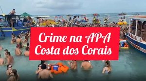 Imagem 'Vandalismo e crime ambiental', diz Bioma Brasil sobre festa na APA Costa dos Corais; Biota pede punição