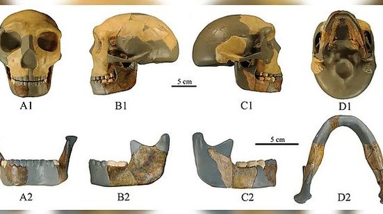 Xiujie Wu/National Research Center on Human Evolution