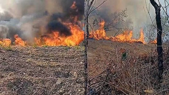 Dois brigadistas morrem durante combate a incêndio no Piauí | Divulgação / Prefeitura de Uruçuí