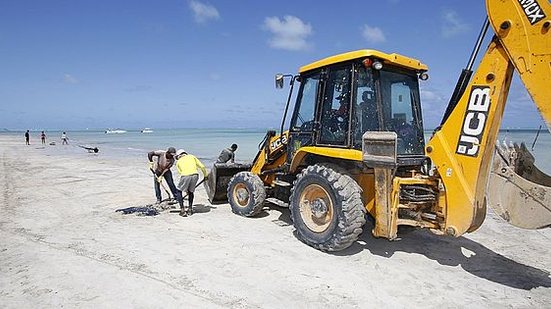 Imagem IMA divulga cronologia do óleo na costa alagoana e ações desenvolvidas