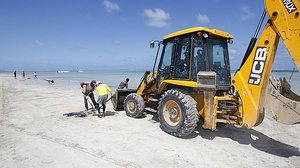 Imagem IMA divulga cronologia do óleo na costa alagoana e ações desenvolvidas