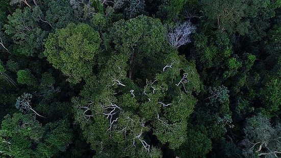 Agenda Brasil + Sustentável apresenta 800 ações adotadas pelo país | Foto: Divulgação / TV Brasil