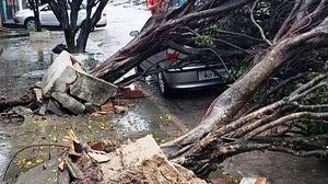 Árvores cederam devido a chuva | Cortesia - CBM