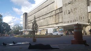 Hospital das Clínicas, em Pernambuco | Alice Souza/Diário de Pernambuco