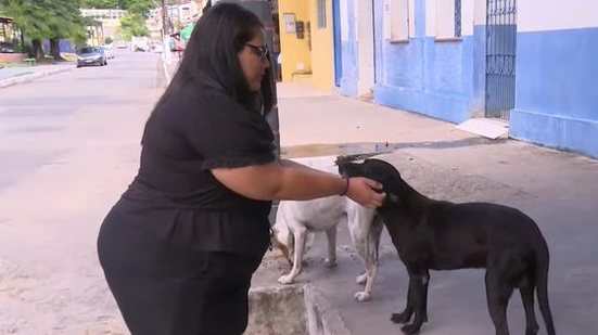 Moradores de Fernão Velho denunciam abandono de animais | Foto: Reprodução TV Pajuçara