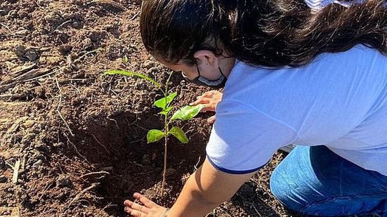 Imagem No Mês do Meio Ambiente, estudantes conhecem iniciativas sustentáveis de cooperativa