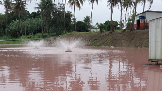 Lagoa de estabilização do empreendimento apresenta coloração avermelhada por proliferação de algas | Ascom IMA