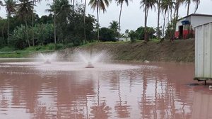 Lagoa de estabilização do empreendimento apresenta coloração avermelhada por proliferação de algas | Ascom IMA