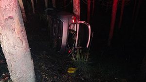 Imagem Três ficam feridos após carro capotar e bater em árvore, em Japaratinga