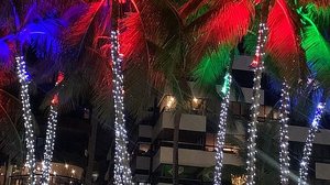 Imagem Orla de Maceió vai receber tradicional iluminação natalina