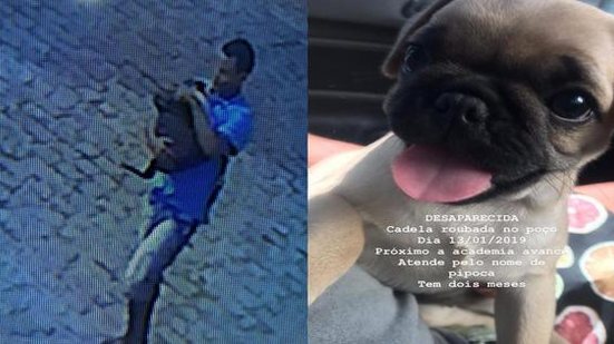 Imagem Vídeo: homem invade casa e furta filhote de cachorro em Maceió