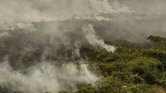 O combate aos incêndios florestais no Tocantins ganhou o reforço das Forças Armadas | Marcelo Camargo / Agência Brasil