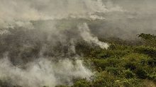 O combate aos incêndios florestais no Tocantins ganhou o reforço das Forças Armadas | Marcelo Camargo / Agência Brasil