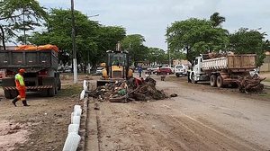 Imagem Dique Estrada: mutirão recolhe mais de 250 toneladas de resíduos