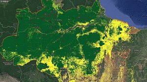 Imagem Desmatamento em julho cresce 278%, apontam dados do Inpe