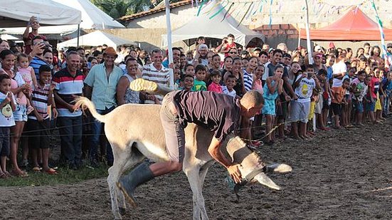 Divulgação