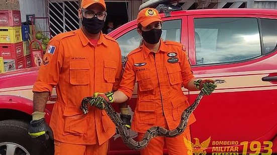 Divulgação / Corpo de Bombeiros